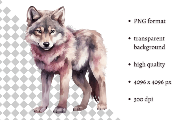 Download Watercolor Woodland Wolf PNG Clipart - Premium Resources