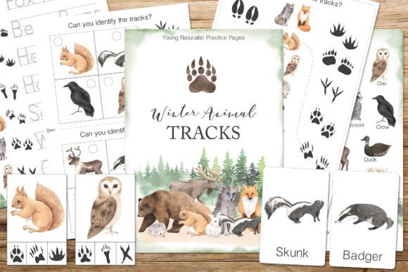 Download Winter Animal Tracks Unit Study - Winter animal Collection