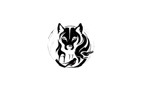 Download Wolf, PNG and SVG - Premium Resources