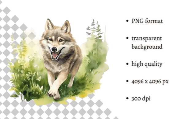 Download Watercolor Wolf PNG Illustration - Wolf png Collection