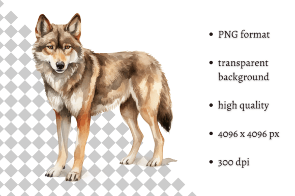 Download Watercolor Woodland Wolf PNG Clipart - Premium Resources