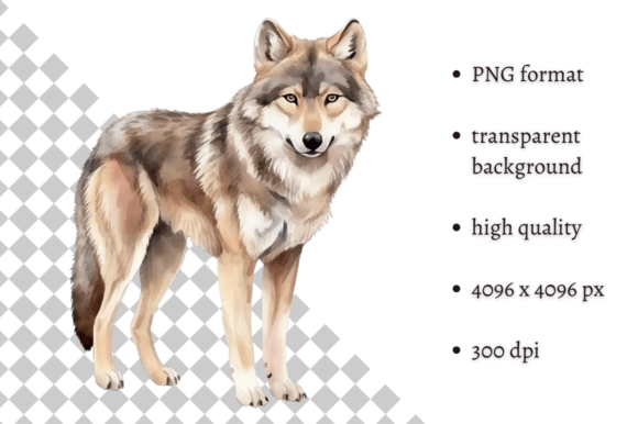 Download Watercolor Woodland Wolf PNG Clipart - Wolf png Collection